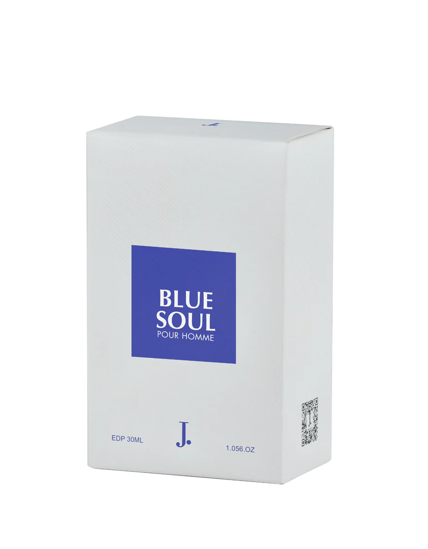 BLUE SOUL - Image 2