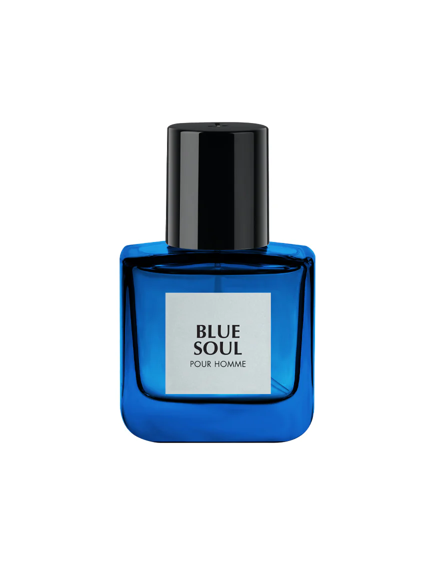BLUE SOUL - Image 3