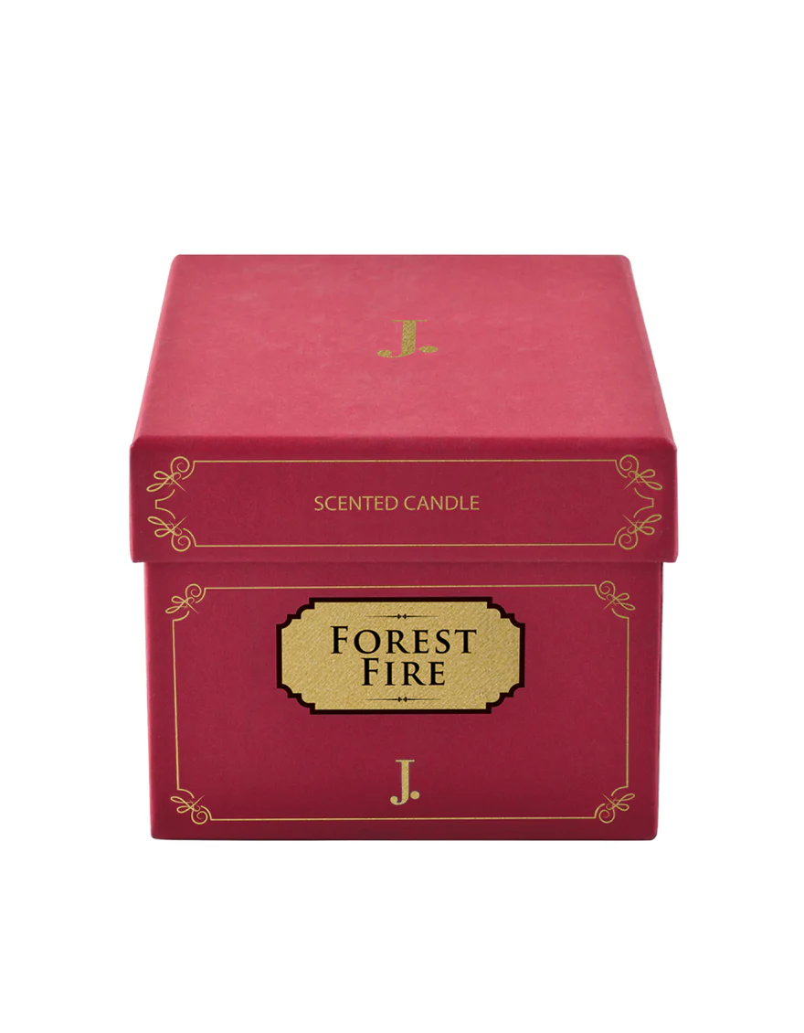 FOREST FIRE - Image 3