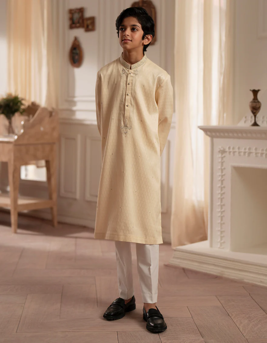 FAWN BLENDED SPECIAL KURTA | JCK-SP-A-48217/S25/JJ9793-FL - Image 4
