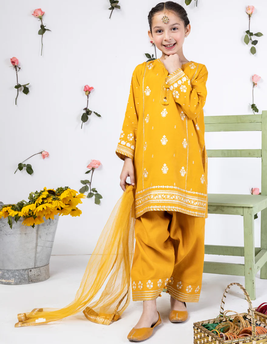 BROWN RAW SILK 3PC STITCHED | JGK-S-24-1912 FB/SHIREEN-11