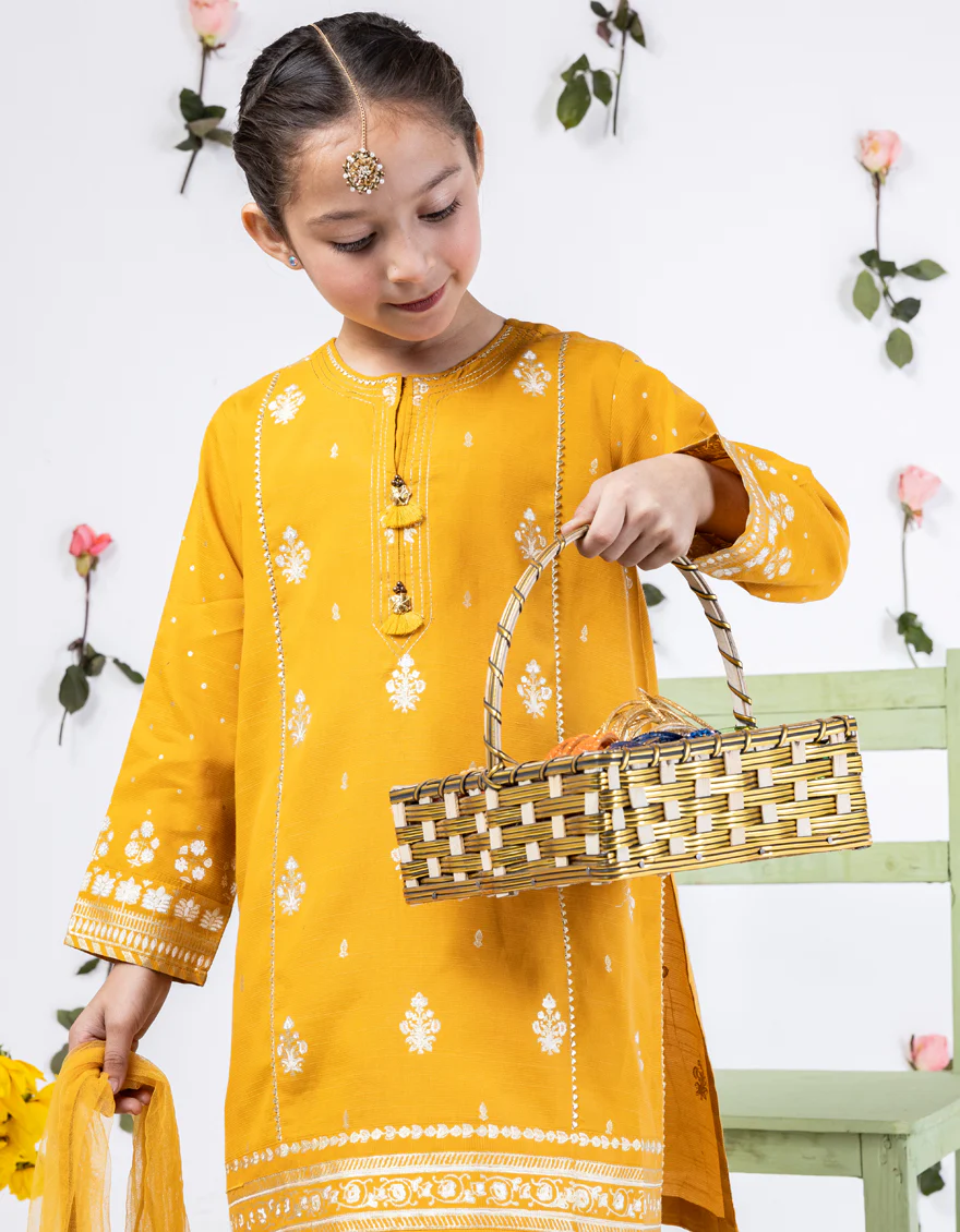 BROWN RAW SILK 3PC STITCHED | JGK-S-24-1912 FB/SHIREEN-11 - Image 2