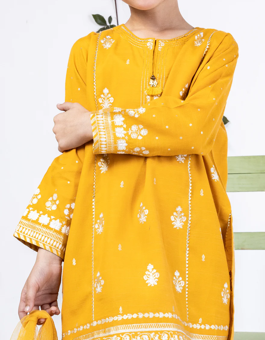 BROWN RAW SILK 3PC STITCHED | JGK-S-24-1912 FB/SHIREEN-11 - Image 3