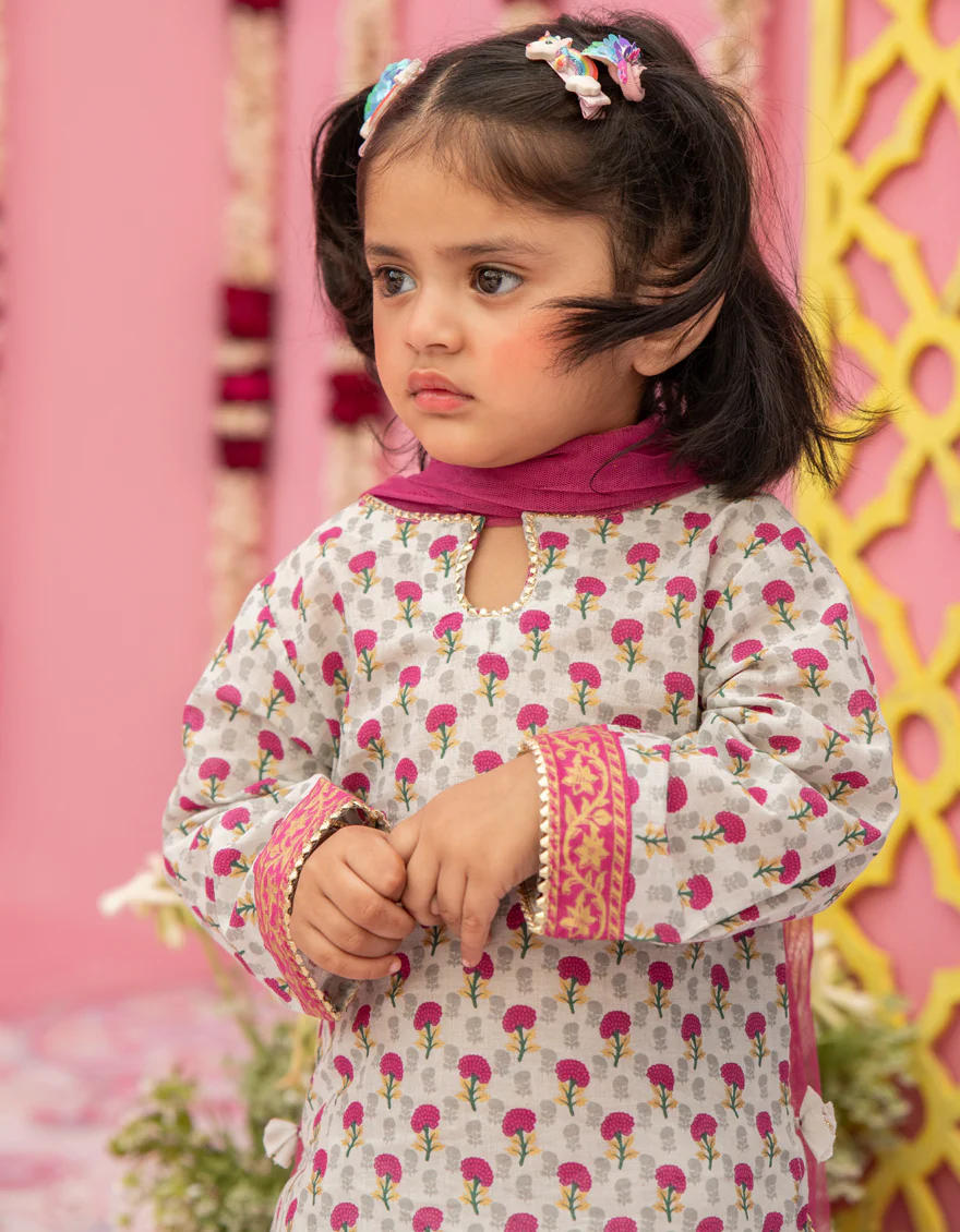 MULTICOLOR LAWN 3PC STITCHED | JGK-S-24-1924 FB/BLI - Image 2