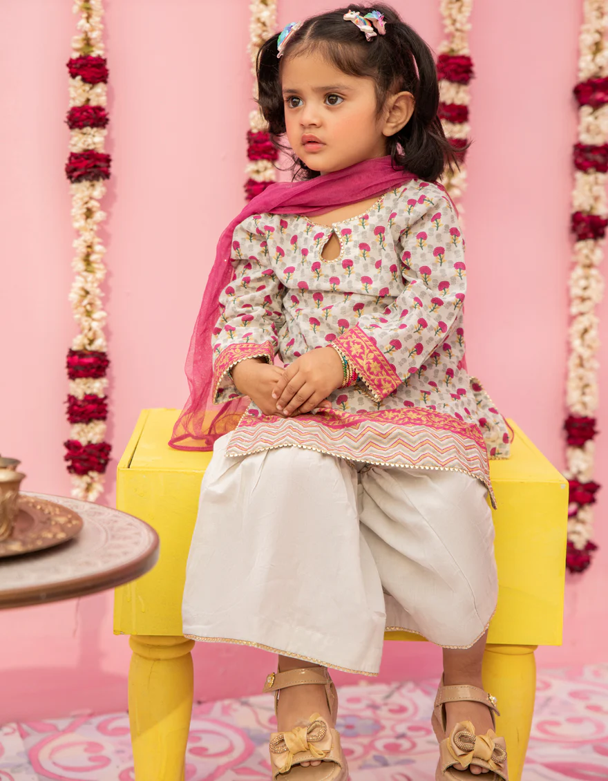 MULTICOLOR LAWN 3PC STITCHED | JGK-S-24-1924 FB/BLI - Image 3