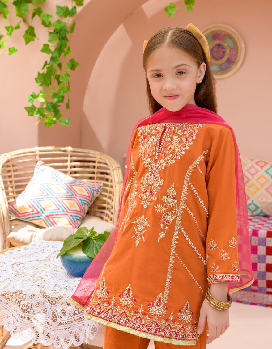 ORANGE LAWN 3PC STITCHED | JGK-S-24-1926 FB/SHIREEN-01 JH-294 - Image 3