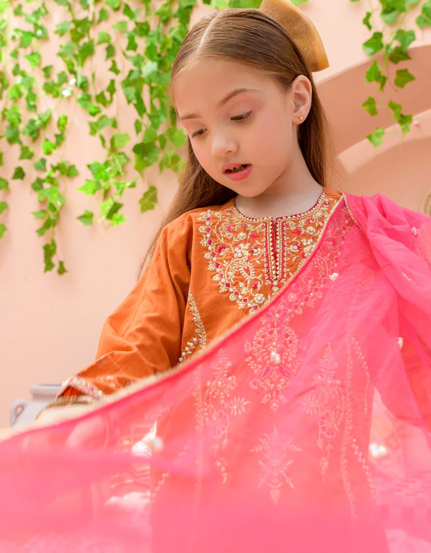 ORANGE LAWN 3PC STITCHED | JGK-S-24-1926 FB/SHIREEN-01 JH-294 - Image 4