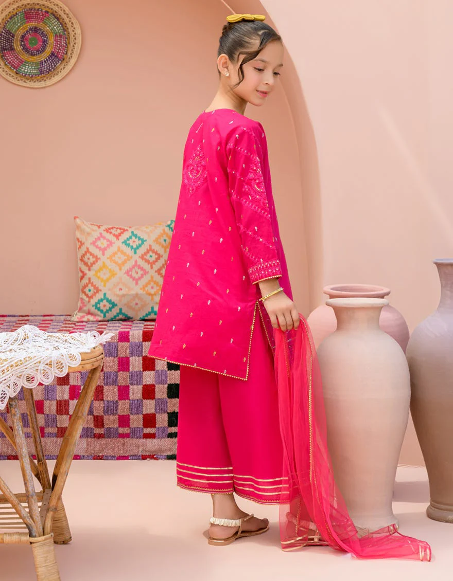 PINK LAWN 3PC STITCHED | JGK-S-24-1928 FB/SHIREEN-03 HF-195 - Image 4