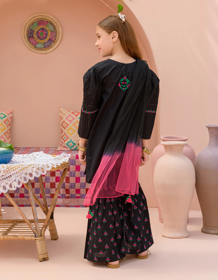 BLACK LAWN 3PC STITCHED | JGK-S-24-1929 FB/SHIREEN-04 - Image 2