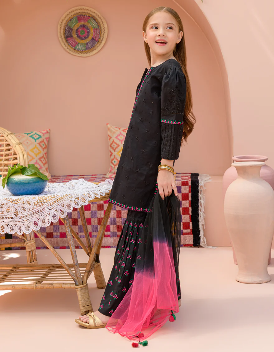 BLACK LAWN 3PC STITCHED | JGK-S-24-1929 FB/SHIREEN-04 - Image 5