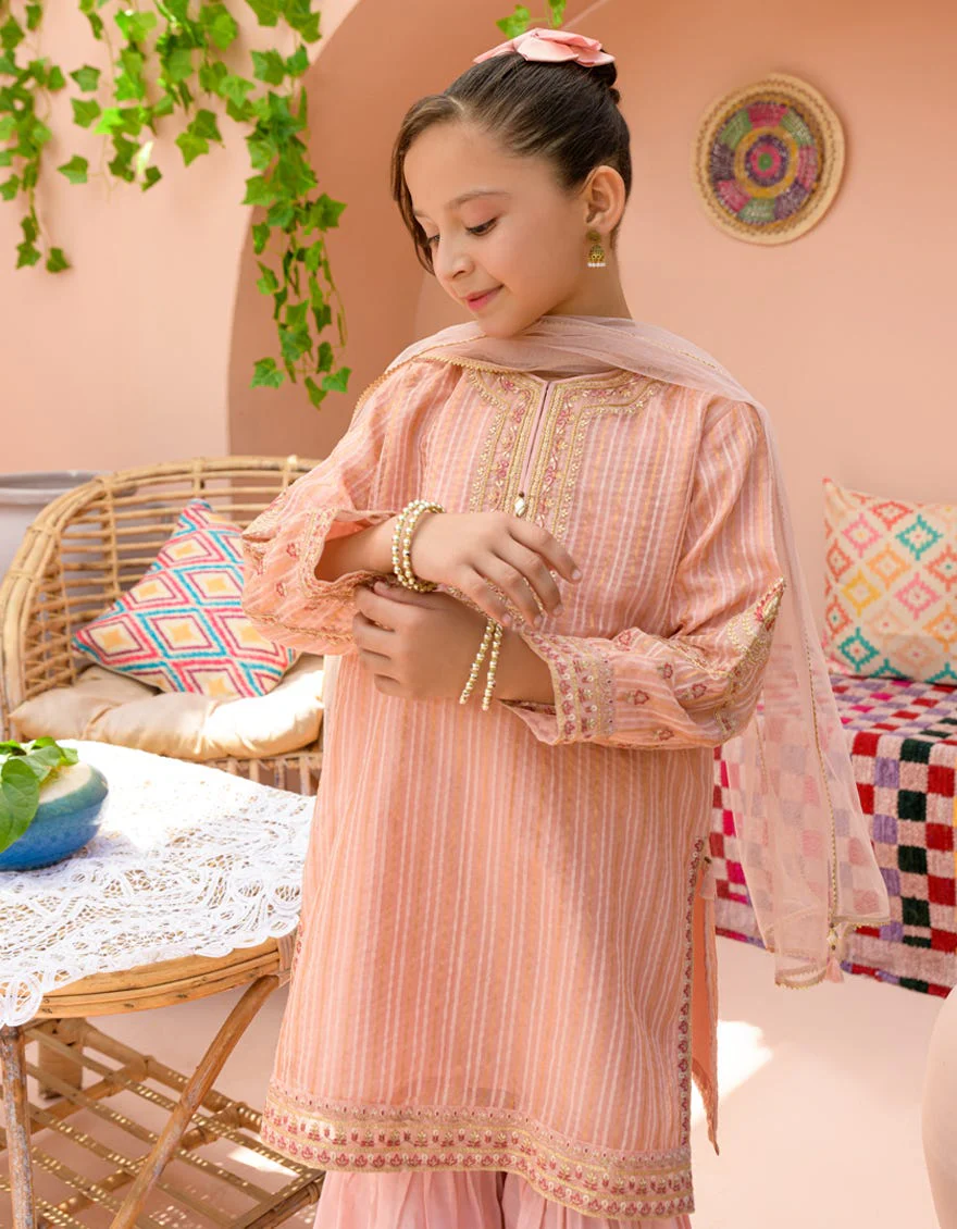 ORANGE ORGANZA 3PC STITCHED | JGK-S-24-1931 FB/SHIREEN-6 - Image 3