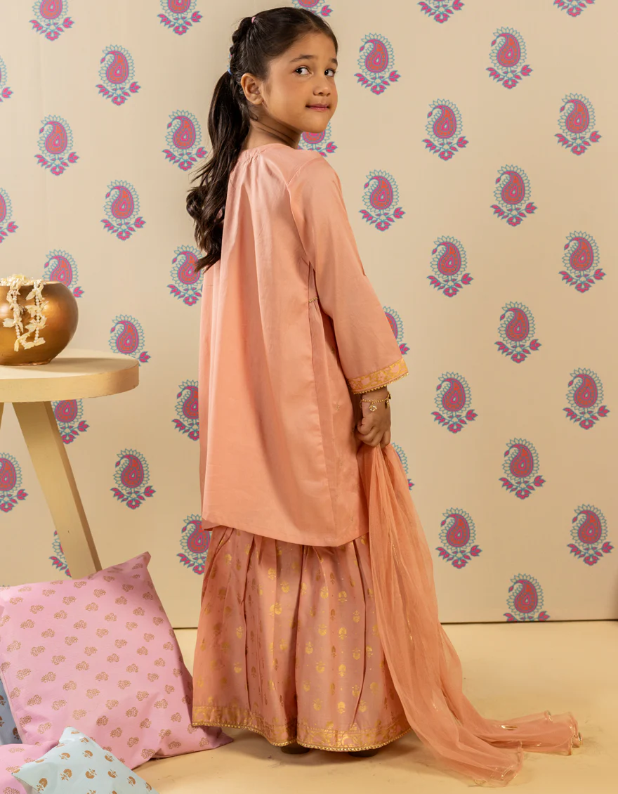 PEACH LAWN 3PC STITCHED | JGK-S-JGP-25-1507 FB/SHEEN GILTZ-1 - Image 2