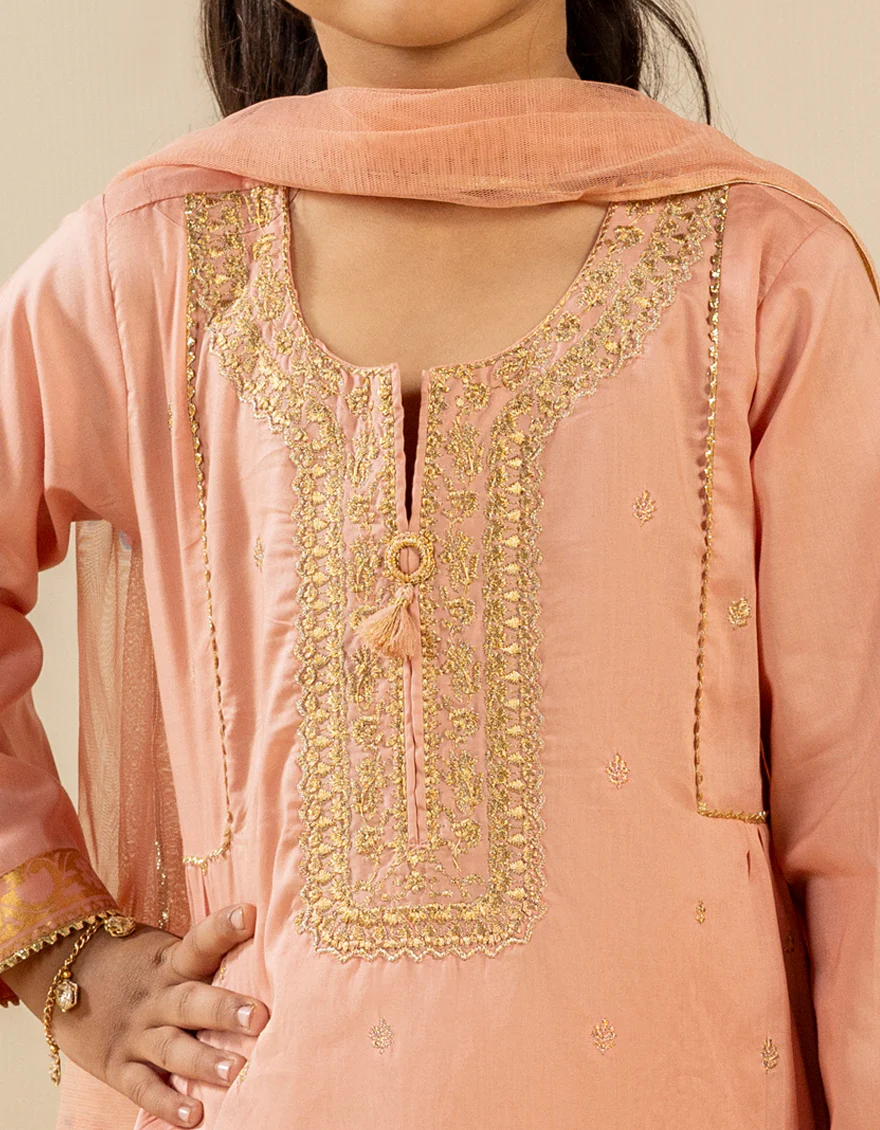 PEACH LAWN 3PC STITCHED | JGK-S-JGP-25-1507 FB/SHEEN GILTZ-1 - Image 3