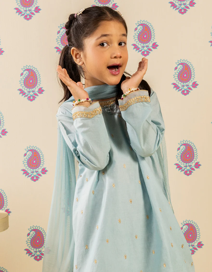 BLUE LAWN 3PC STITCHED | JGK-S-JGP-25-1508 FB/SHEEN-GILTZ-2 - Image 3