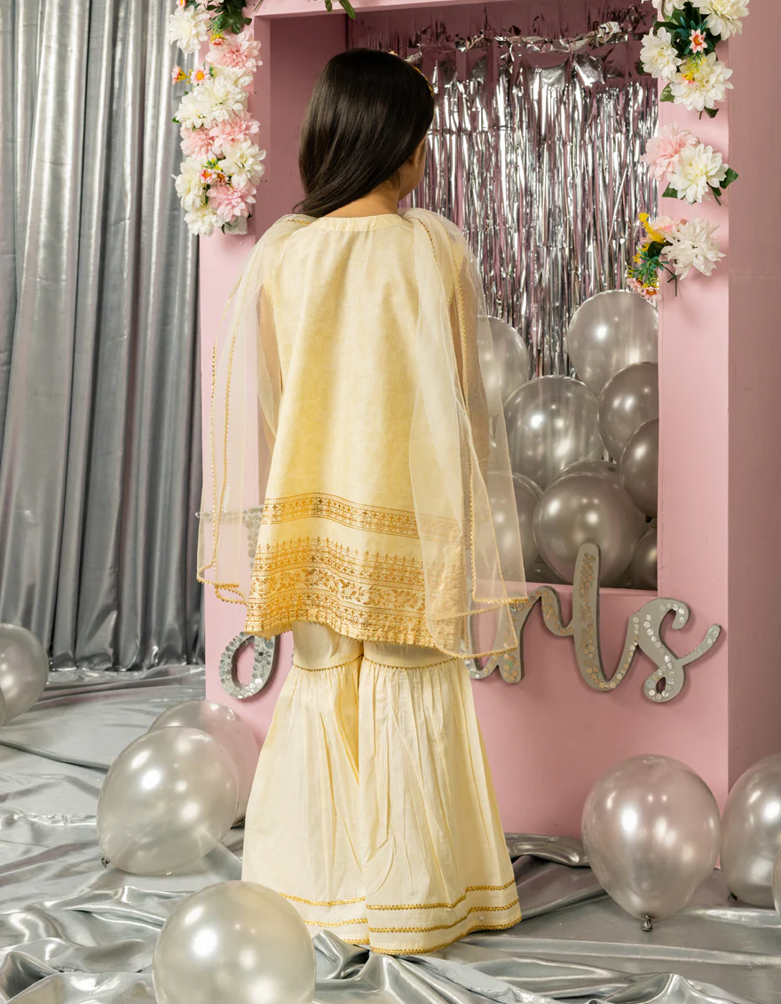 BROWN LAWN 3PC STITCHED | JGK-S-JGP-25-1555 FB/FASTIVE FOIL-01 - Image 2