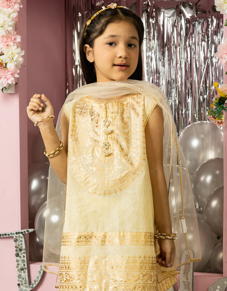 BROWN LAWN 3PC STITCHED | JGK-S-JGP-25-1555 FB/FASTIVE FOIL-01 - Image 3