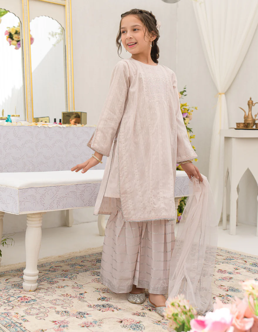 PINK DOBBY 3PC STITCHED | JGK-S-JGP-25-1575 FB - Image 2