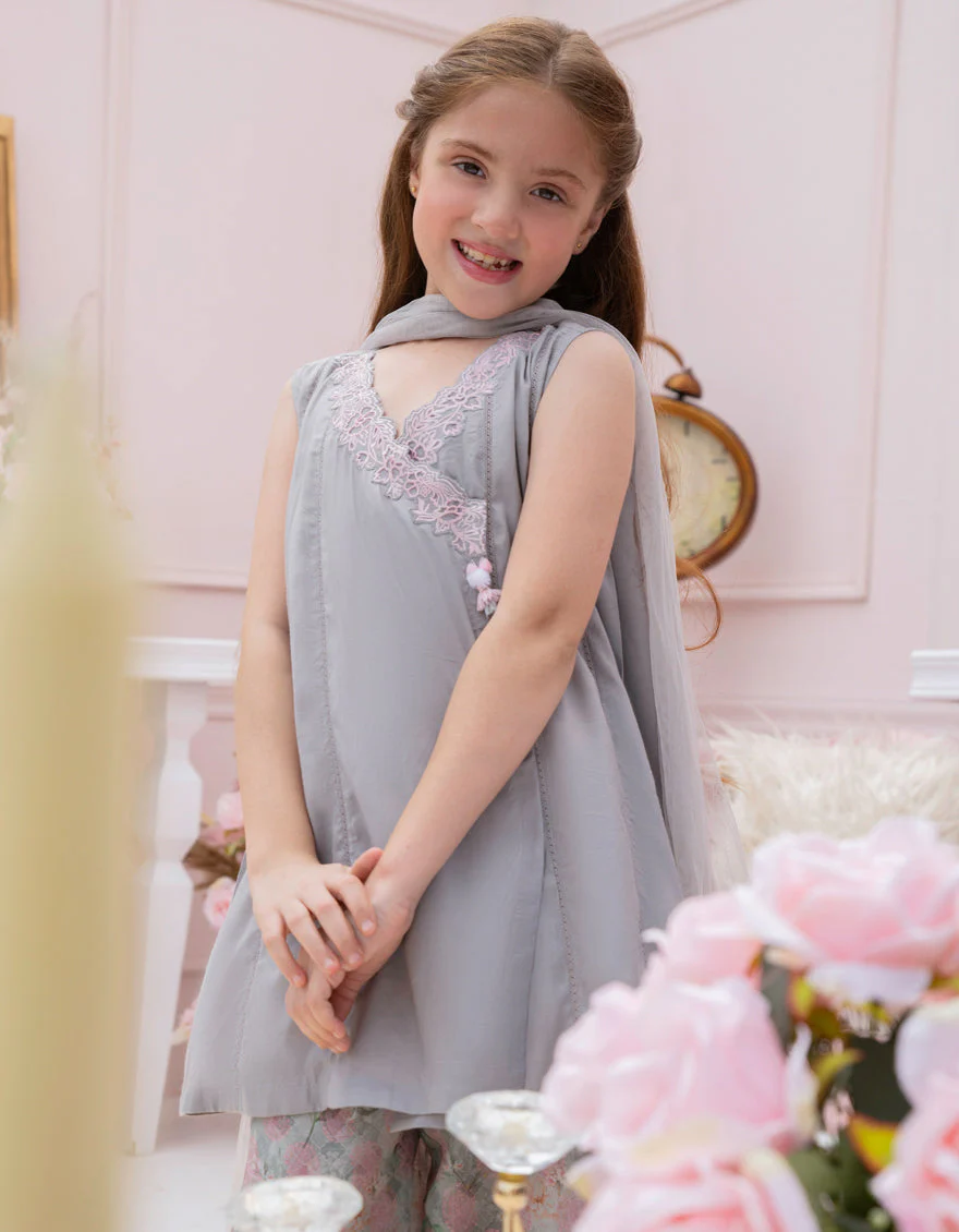 GREY SILK 3PC STITCHED | JGK-S-JGP-25-1578 FB - Image 3