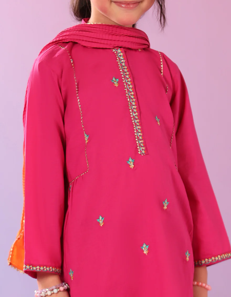 PINK LAWN SILK 3PC STITCHED | JGK-S-JGP-25-1585 FB - Image 2