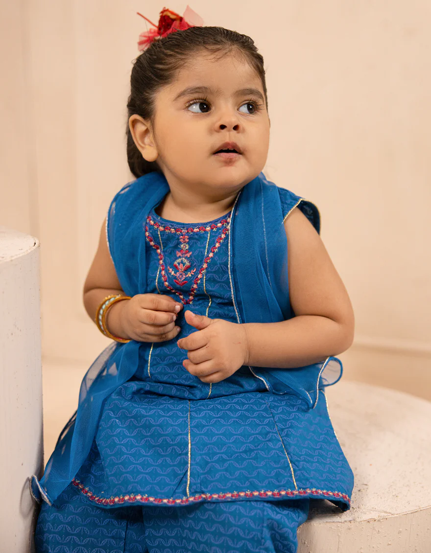 BLUE LAWN 3PC STITCHED | JGK-S-JIF-25-1713 FB - Image 3