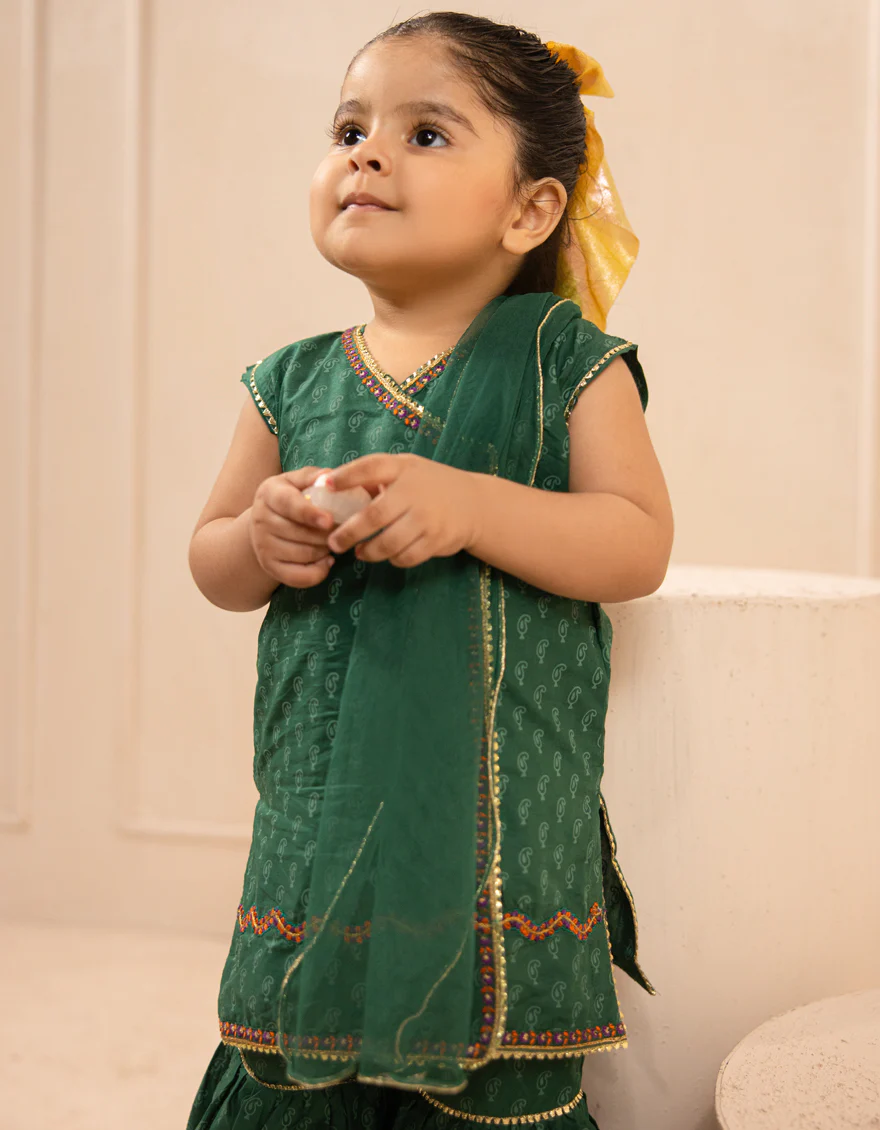 GREEN LAWN 3PC STITCHED | JGK-S-JIF-25-1715 FB - Image 2