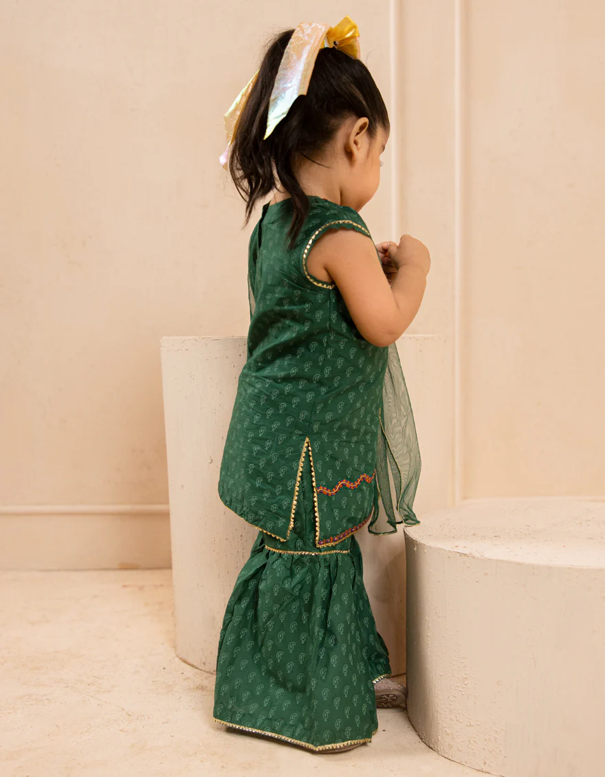 GREEN LAWN 3PC STITCHED | JGK-S-JIF-25-1715 FB - Image 3
