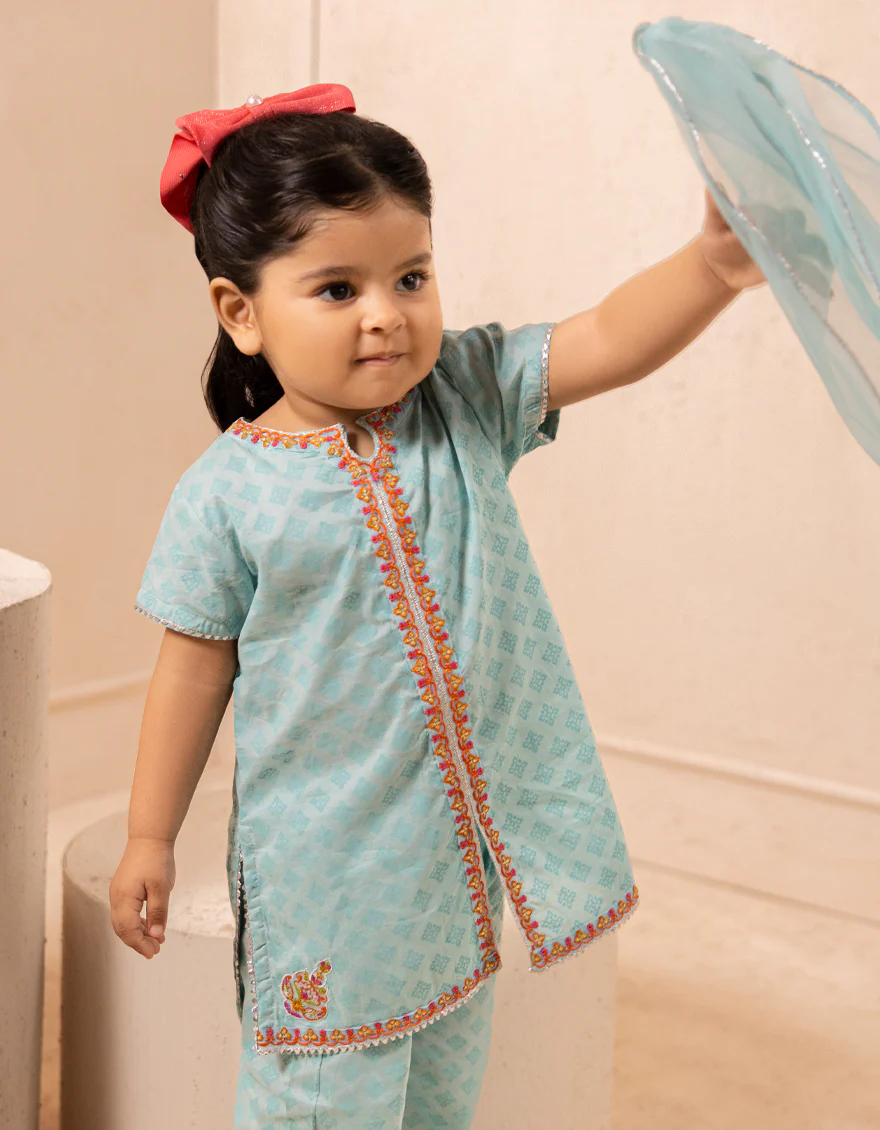 BLUE LAWN 3PC STITCHED | JGK-S-JIF-25-1716 FB - Image 3