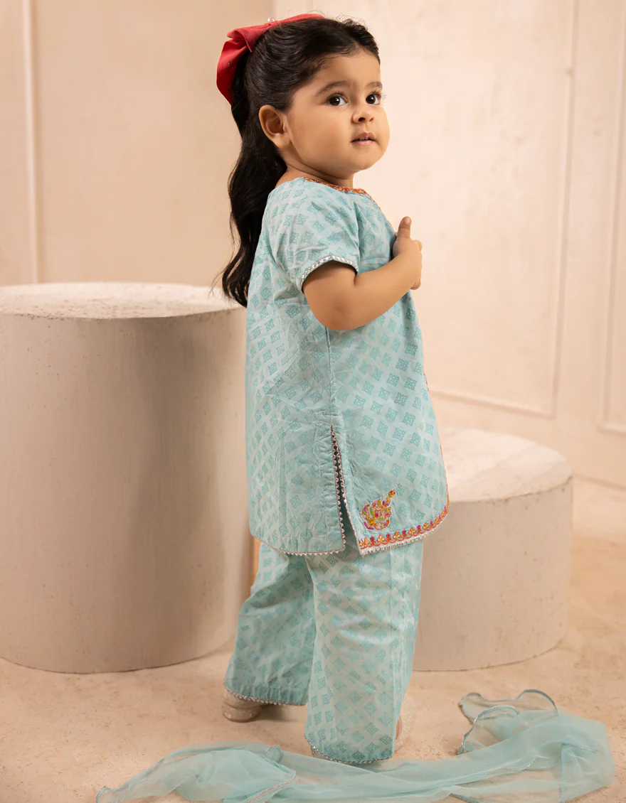 BLUE LAWN 3PC STITCHED | JGK-S-JIF-25-1716 FB - Image 4