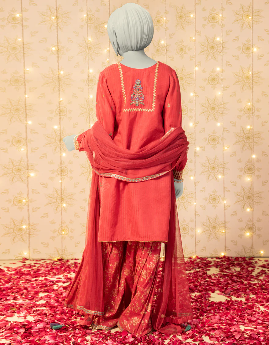 PINK TEXTURED 3PC STITCHED | JGK-S-JTF-25-752 FB/RANG-E-ZARI-2 - Image 2