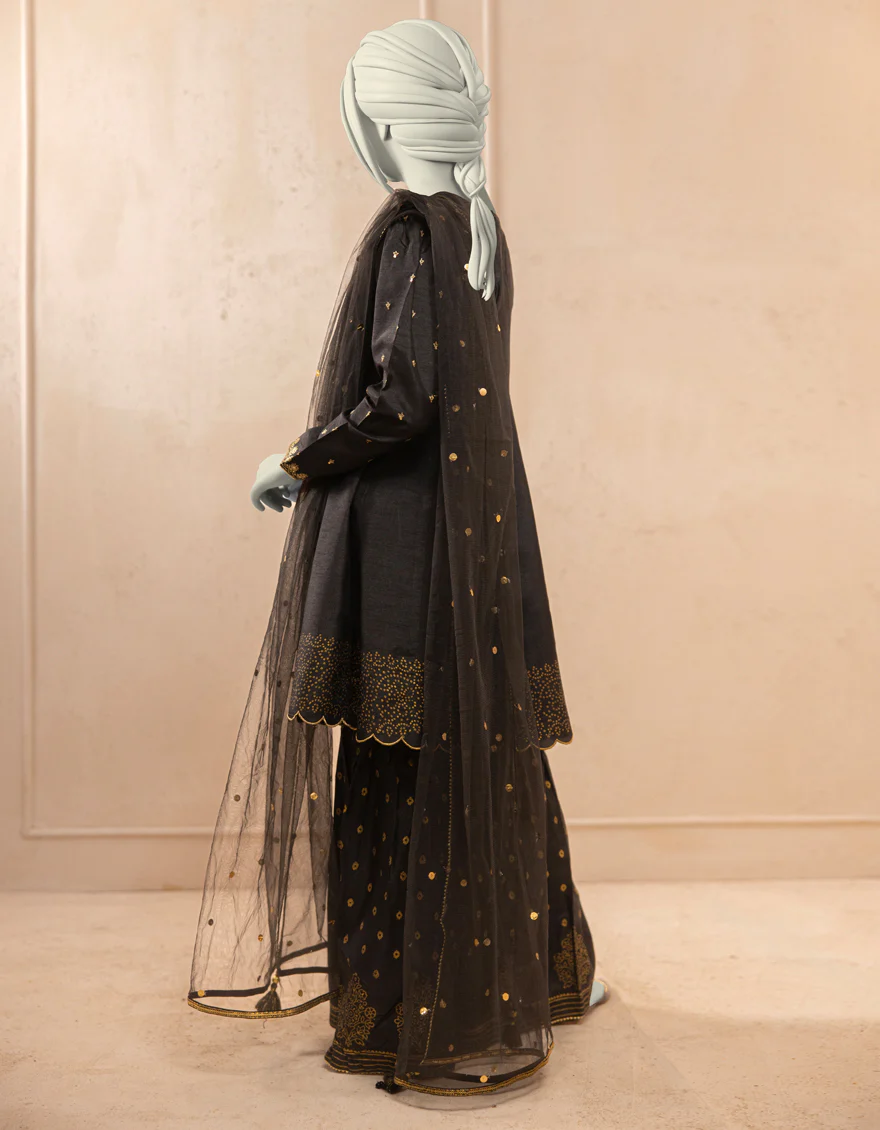 BLACK RAW SILK 3PC STITCHED | JGK-S-JTF-25-769 FB/RANG-E-ZARI-7 - Image 2