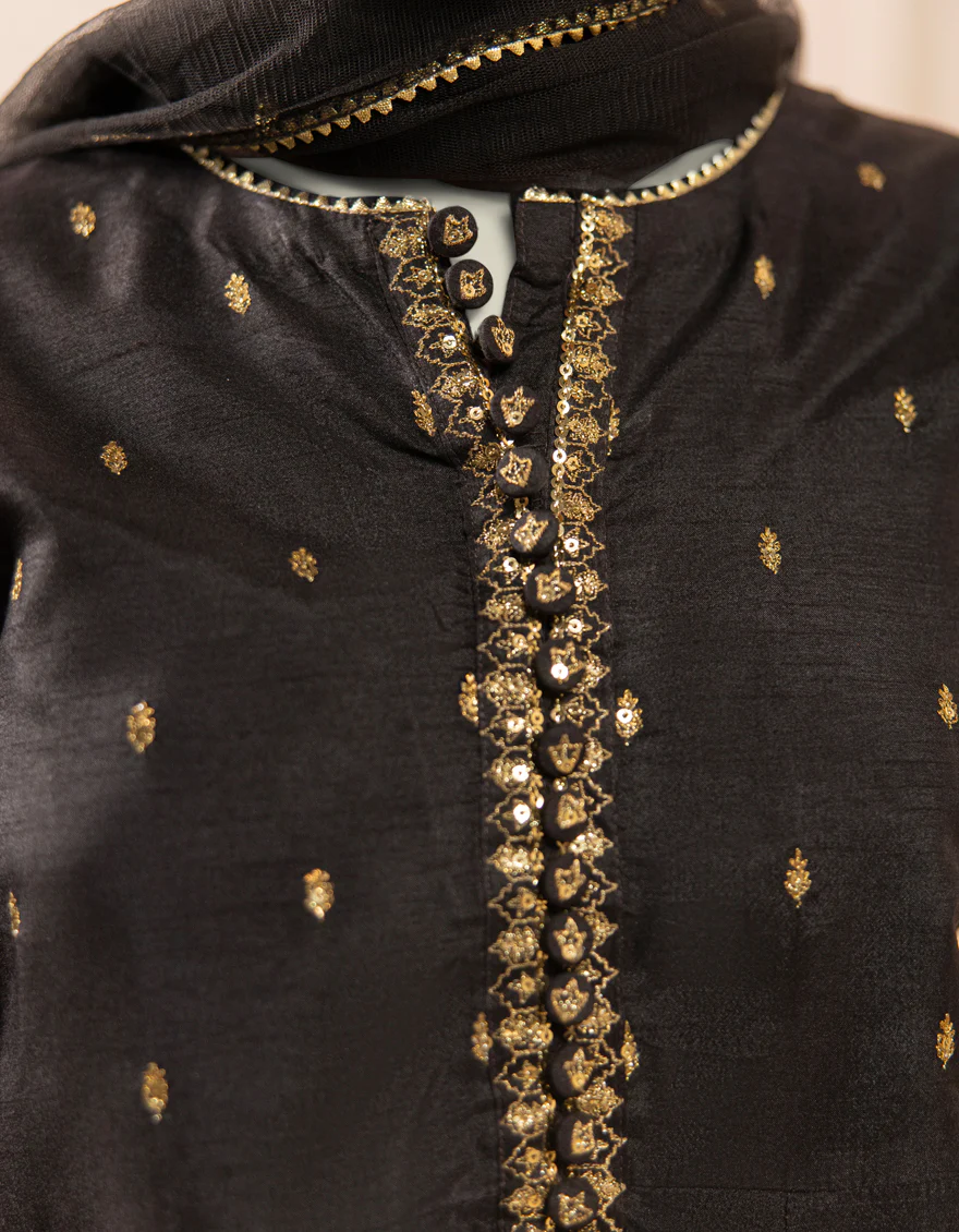 BLACK RAW SILK 3PC STITCHED | JGK-S-JTF-25-769 FB/RANG-E-ZARI-7 - Image 4