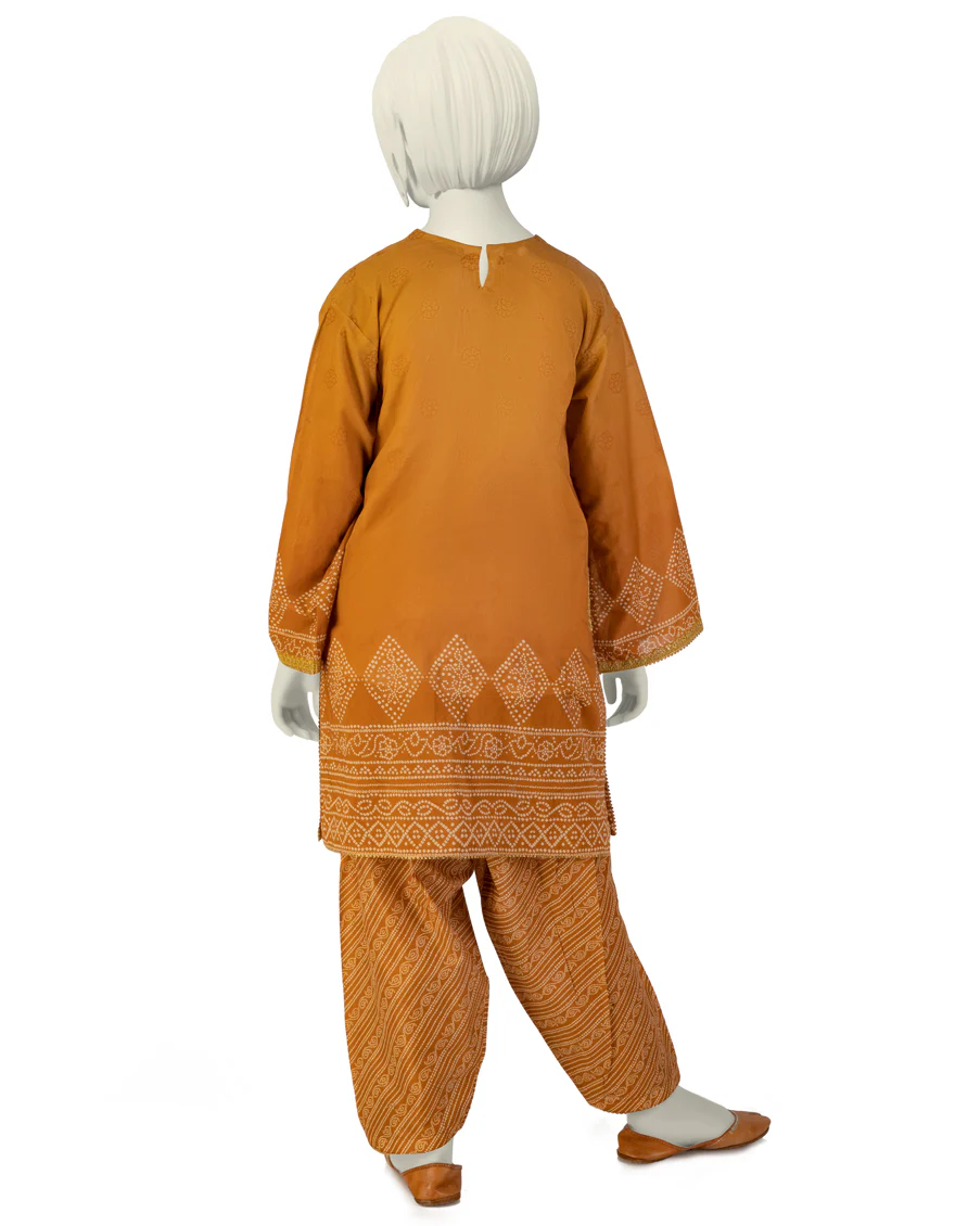 MUSTARD LAWN 2PC STITCHED | JGK-S-JTST-25-428 FB/ROZANA-10 - Image 2