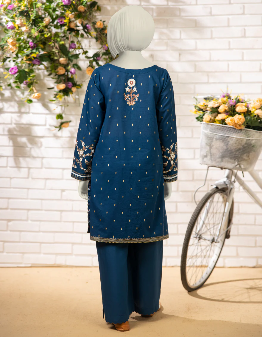 BLUE LAWN 2PC STITCHED | JGK-S-JTST-25-445 FB - Image 2