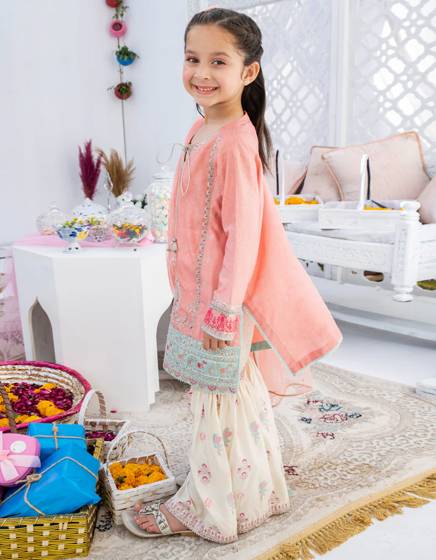 PEACH RAW SILK 3PC STITCHED | JGK-S-US-22-1911 FB/JH-141(MF-829) - Image 2