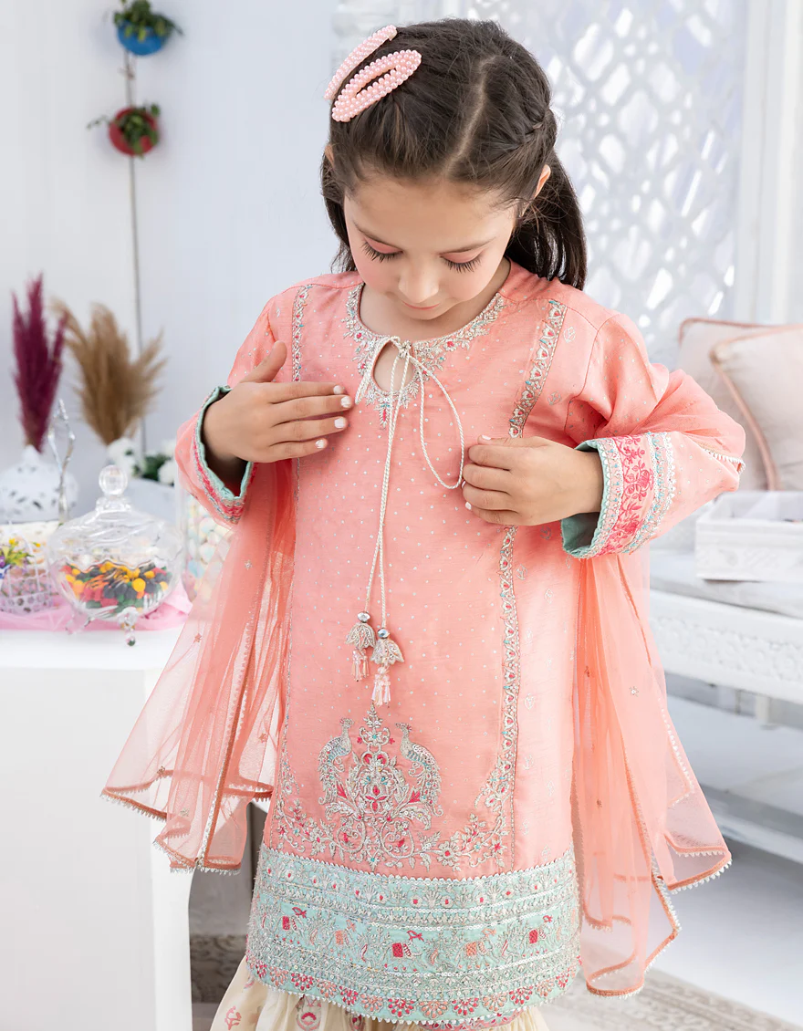 PEACH RAW SILK 3PC STITCHED | JGK-S-US-22-1911 FB/JH-141(MF-829) - Image 3