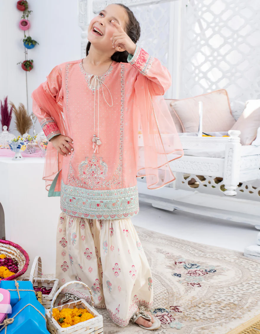 PEACH RAW SILK 3PC STITCHED | JGK-S-US-22-1911 FB/JH-141(MF-829) - Image 4