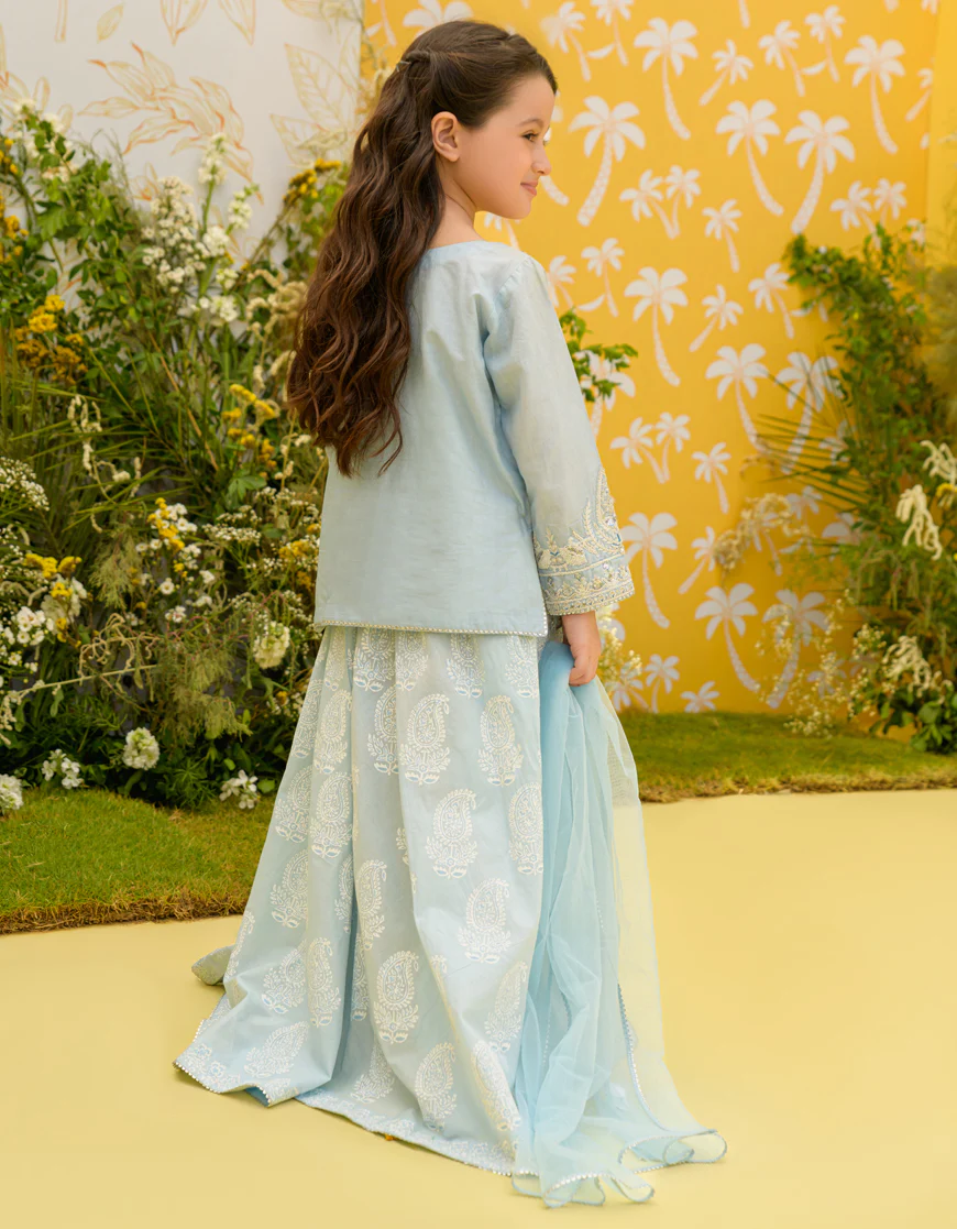 LIGHT BLUE LAWN 3PC STITCHED | JGK-S-US-23-1925 FB/MK-75 - Image 2