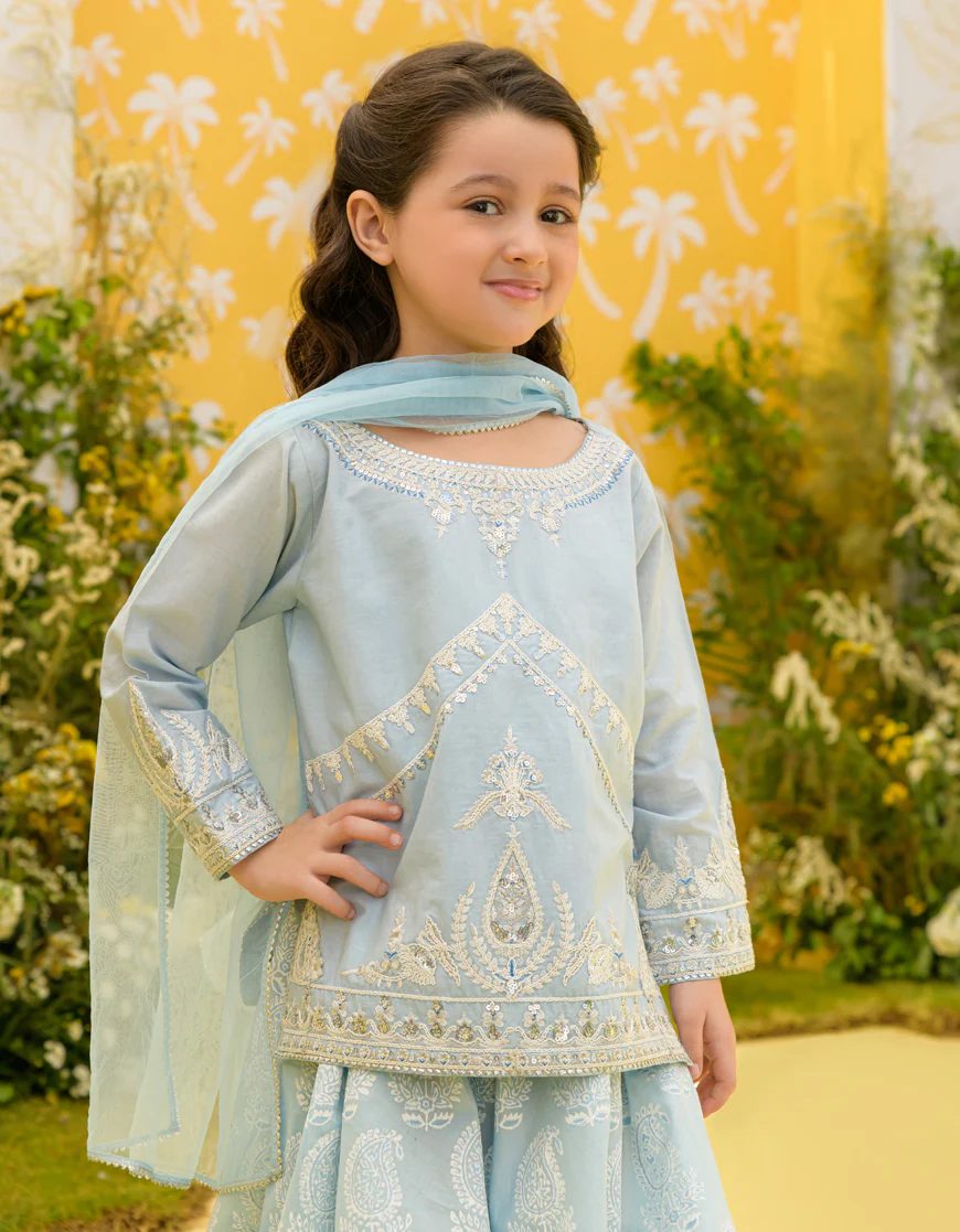 LIGHT BLUE LAWN 3PC STITCHED | JGK-S-US-23-1925 FB/MK-75 - Image 3
