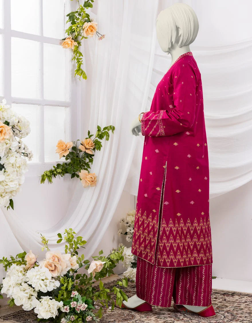 PINK LAWN 2PC STITCHED | JGK-S-YGTL-428-24 FB/CHAPPAI-02 - Image 3