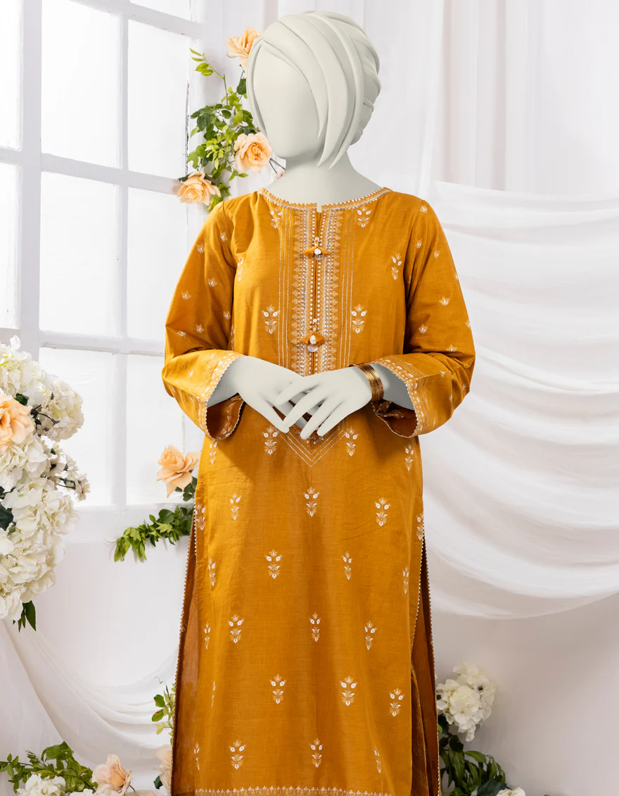 BROWN LAWN 2PC STITCHED | JGK-S-YGTL-429-24 FB/CHAPPAI-03 - Image 2