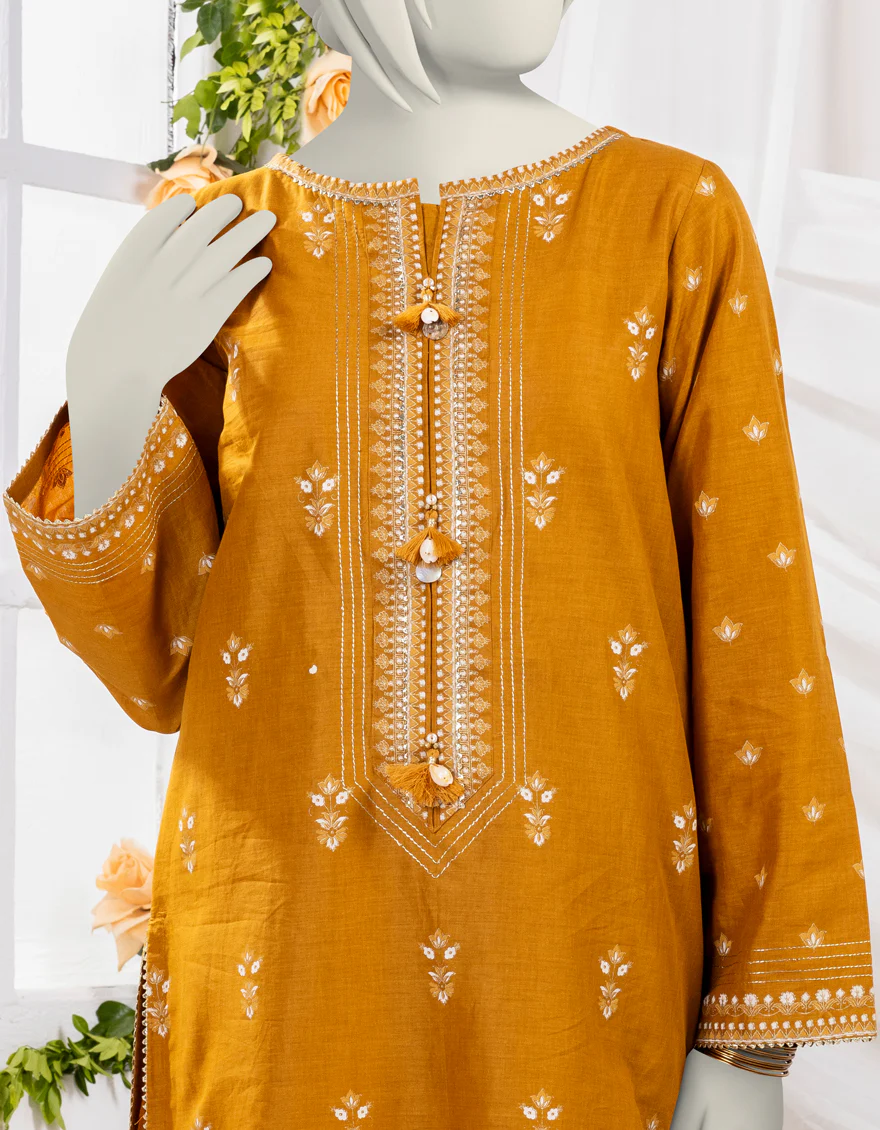 BROWN LAWN 2PC STITCHED | JGK-S-YGTL-429-24 FB/CHAPPAI-03 - Image 3