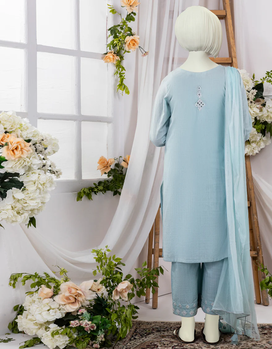 BLUE TEXTURED 3PC STITCHED | JGK-S-YGTL-631-24 FB/SHEESHA-KARI-02 - Image 2