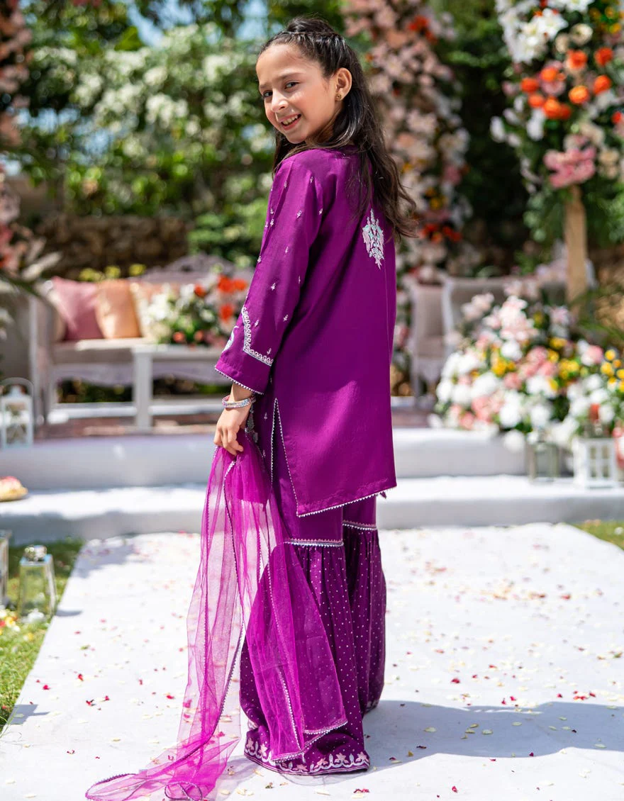 PURPLE RAW SILK 3PC STITCHED | JGK-W-24-1943 FB/SHIREEN-4 - Image 2