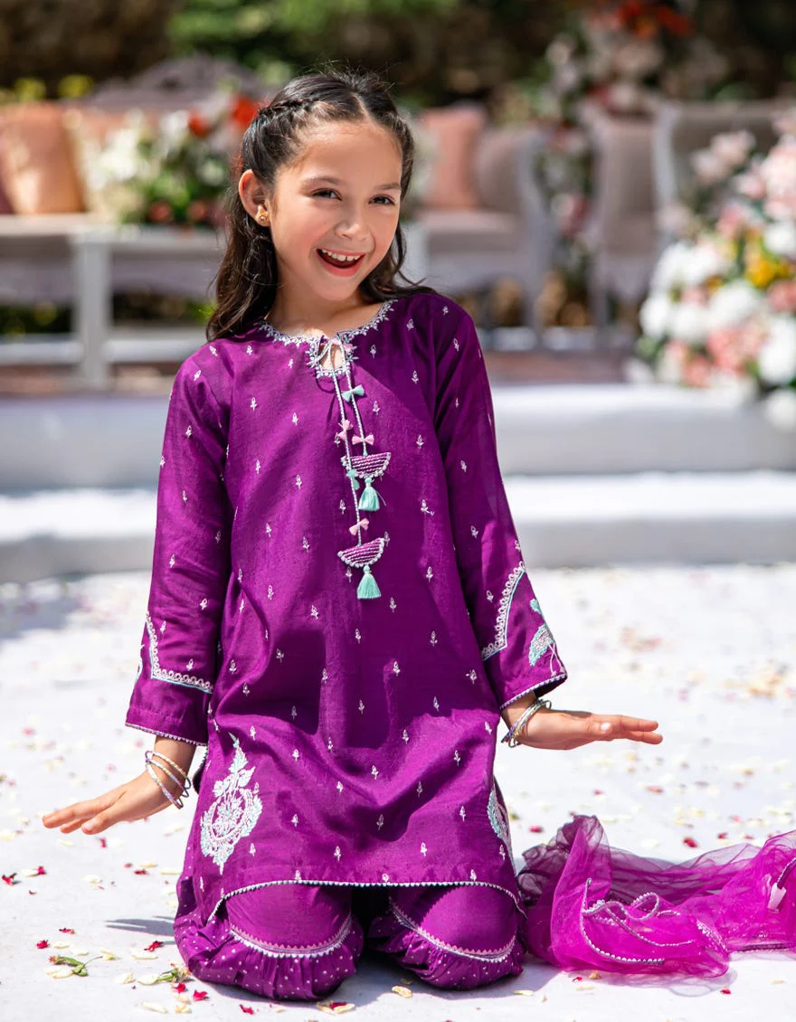 PURPLE RAW SILK 3PC STITCHED | JGK-W-24-1943 FB/SHIREEN-4 - Image 3