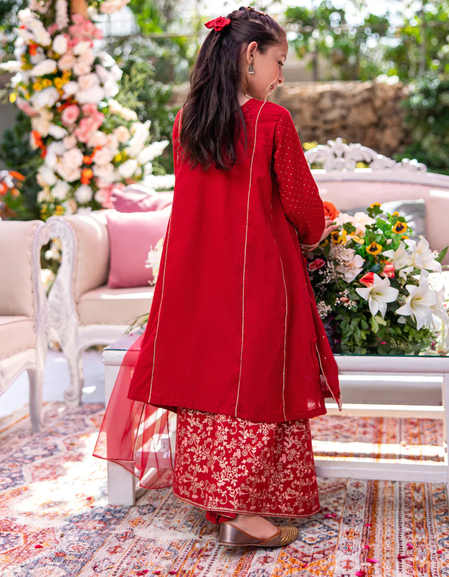 RED DOBBY 3PC STITCHED | JGK-W-24-1947 FB/SHIREEN-8 - Image 4