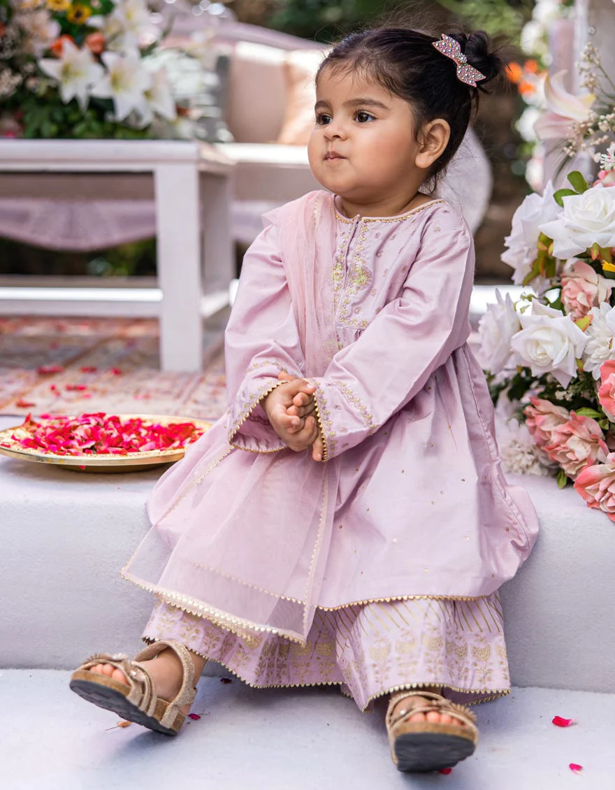 PURPLE KHADDI 3PC STITCHED | JGK-W-24-1948 FB/IRIS-1 - Image 3