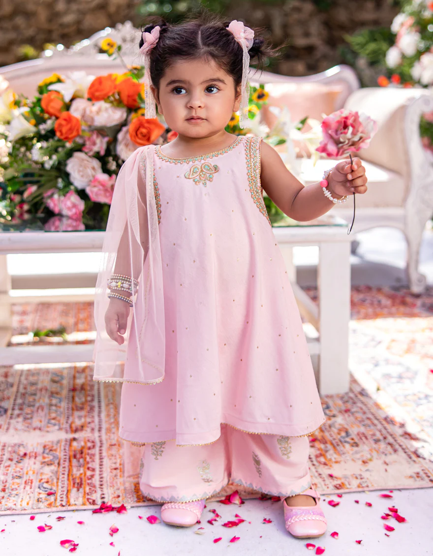 PINK KHADDI 3PC STITCHED | JGK-W-24-1950 FB/IRIS-3 - Image 2