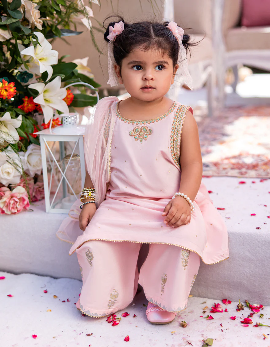PINK KHADDI 3PC STITCHED | JGK-W-24-1950 FB/IRIS-3 - Image 3
