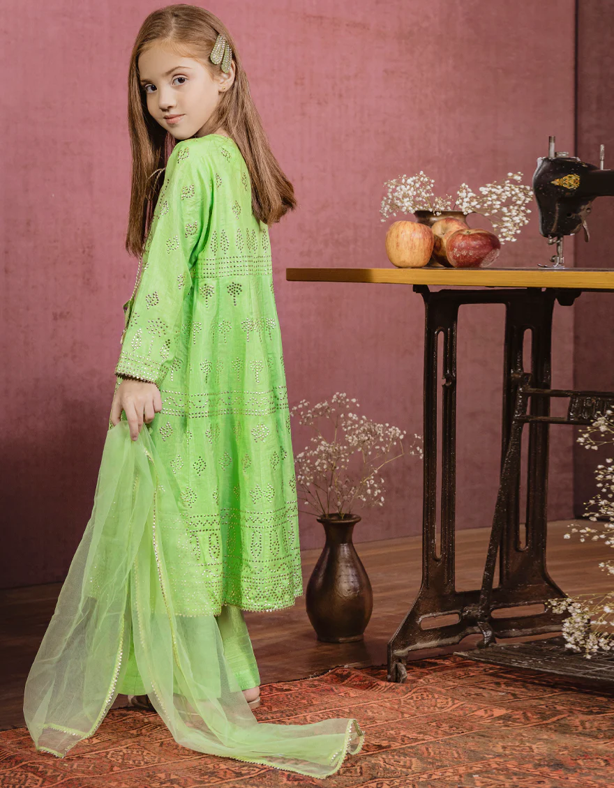 PARROT GREEN RAW SILK 3PC STITCHED | JGK-W-JWK-US-22-5006 FB/GALAXY - Image 3