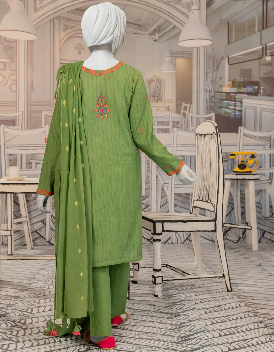 GREEN TEXTURED 3PC STITCHED | JGK-W-YGTL-649-24 FB/DHANAK-1 - Image 2